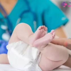 https://dakhoaquoctebacninh.vn/wp-content/uploads/2023/11/benh-viem-tinh-hoan-o-tre-em-1.jpg-250x250.webp