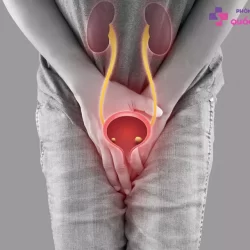 https://dakhoaquoctebacninh.vn/wp-content/uploads/2024/02/dau-nieu-dao-khi-tieu-1.jpg-250x250.webp