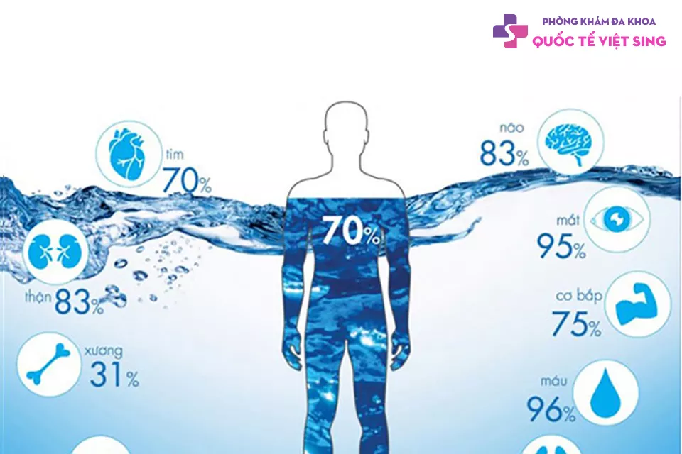 Vai trò của nước đối với cơ thể con người